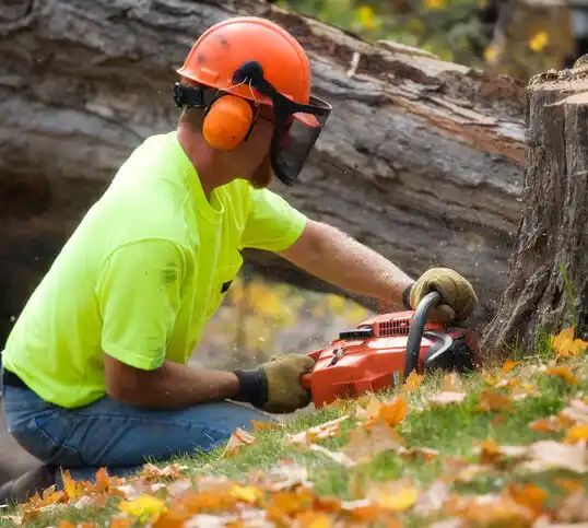 tree services Kalispell